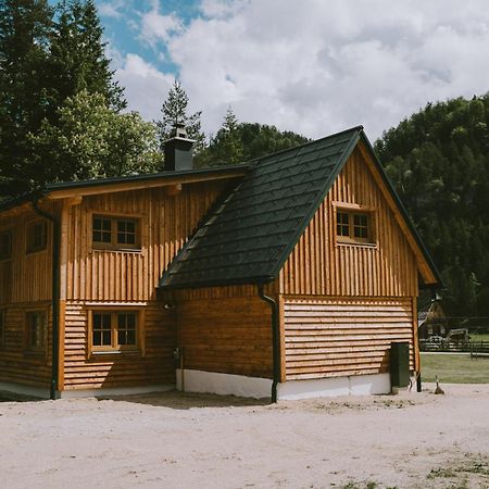 Naturparkresort S'Keuscherl Wildalpen Zewnętrze zdjęcie